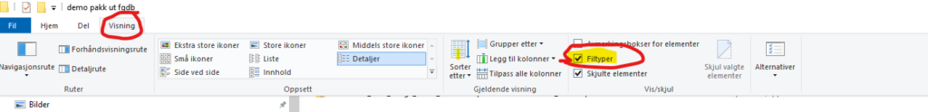 Skjermdump som viser hvordan du kan vise filtyper i filutforsker. 